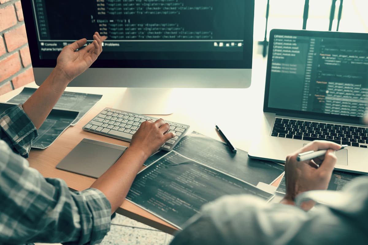 Team of software developers